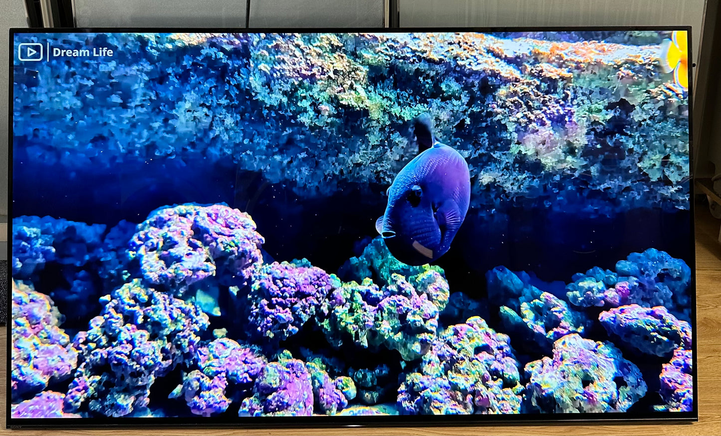 SONY OLED 55” 4K Smart TV