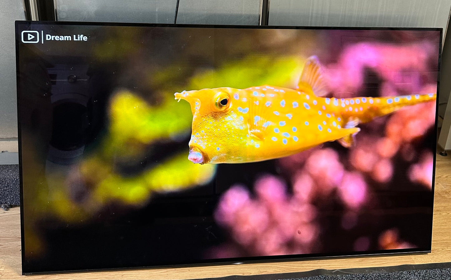 SONY OLED 55” 4K Smart TV